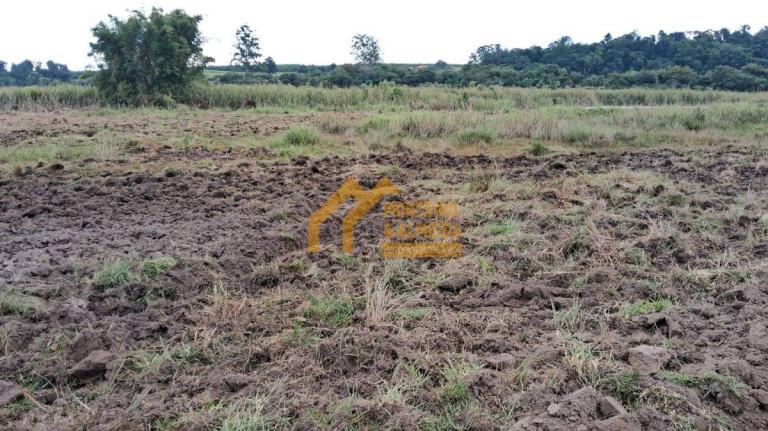 Imagem Fazenda à Venda, 314.000 m² em Vale San Fernando - Itapetininga Imagem Fazenda à Venda, 314.000 m² em Vale San Fernando - Itapetininga