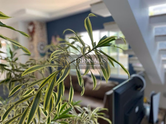Imagem Casa com 4 Quartos à Venda, 265 m² em Jardim Maristela - Atibaia Imagem Casa com 4 Quartos à Venda, 265 m² em Jardim Maristela - Atibaia