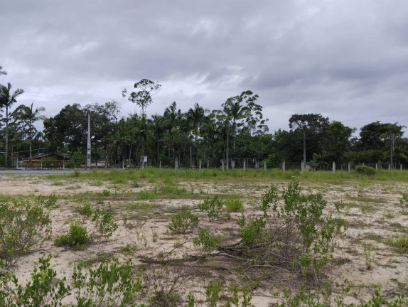 Imagem Chácara à Venda, 5.900 m² em Pinheiros - Balneário Barra Do Sul Imagem Chácara à Venda, 5.900 m² em Pinheiros - Balneário Barra Do Sul