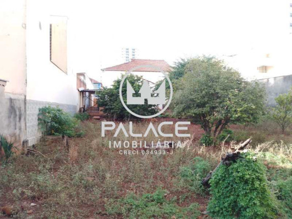 Imagem Imóvel com 3 Quartos à Venda, 231 m² em Centro - Piracicaba Imagem Imóvel com 3 Quartos à Venda, 231 m² em Centro - Piracicaba