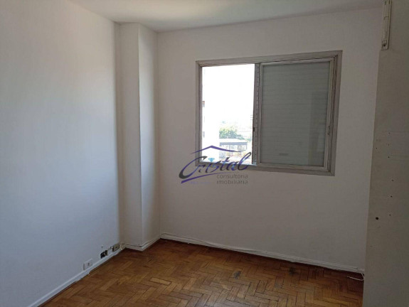 Imagem Apartamento com 3 Quartos à Venda, 113 m² em Butantã - São Paulo Imagem Apartamento com 3 Quartos à Venda, 113 m² em Butantã - São Paulo