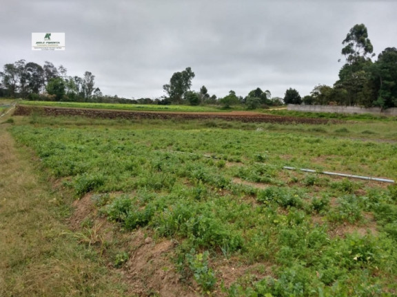 Terreno à Venda, 2.500 m² em Caetê - São Roque
