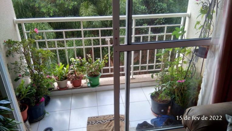 Imagem Apartamento com 3 Quartos à Venda, 80 m² em Vila Moraes - São Paulo Imagem Apartamento com 3 Quartos à Venda, 80 m² em Vila Moraes - São Paulo