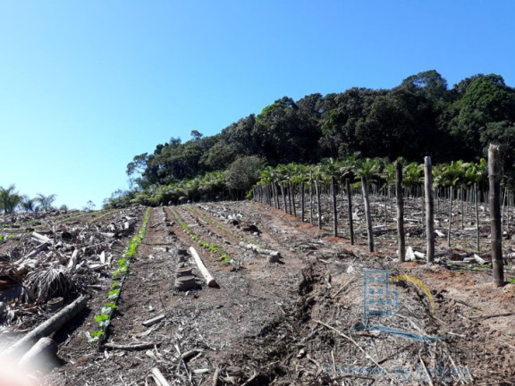 Imagem Terreno à Venda, 232.297 m² em Enseada - São Francisco Do Sul