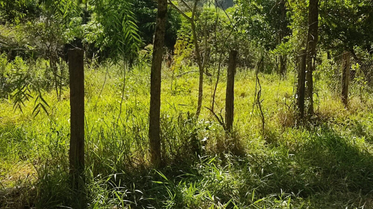 Imagem Chácara à Venda, 35 m² em édem - Sorocaba Imagem Chácara à Venda, 35 m² em édem - Sorocaba