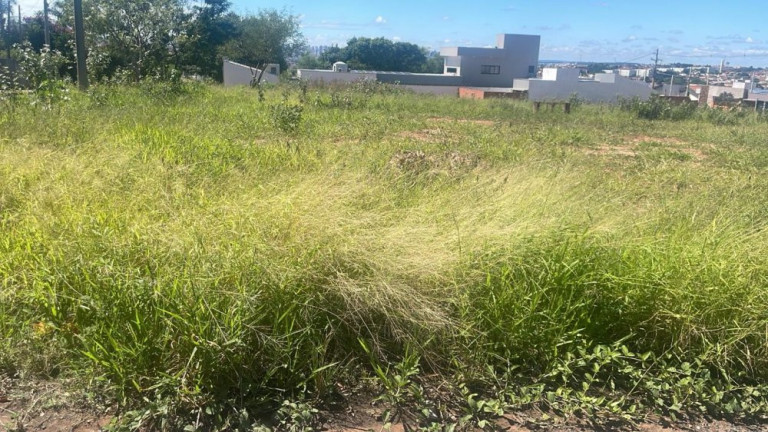 Imagem Imóvel à Venda, 162 m² em Vila Garcia - Bauru