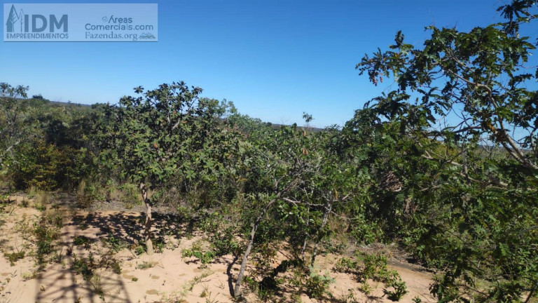 Imagem Chácara à Venda, 49.500.000 m² em Centro - Buritizeiro Imagem Chácara à Venda, 49.500.000 m² em Centro - Buritizeiro