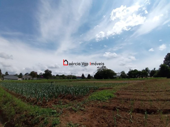Imagem Imóvel com 2 Quartos à Venda, 133.100 m² em Ibiúna - Ibiúna
