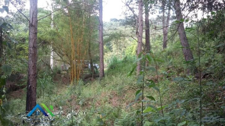 Imagem Terreno à Venda, 1.439 m² em Estância São Paulo - Campo Limpo Paulista Imagem Terreno à Venda, 1.439 m² em Estância São Paulo - Campo Limpo Paulista