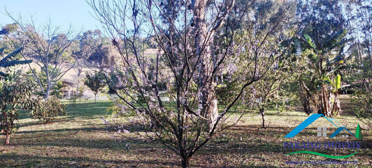 Imagem Chácara com 1 Quarto à Venda, 22 m² em Centro - Paraisópolis