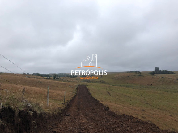 Imagem Terreno à Venda, 20.000 m² em área Rural De Caxias Do Sul - Caxias Do Sul