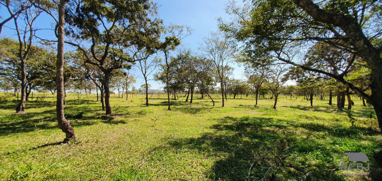 Imagem Terreno à Venda,  em Tropeiros - Esmeraldas