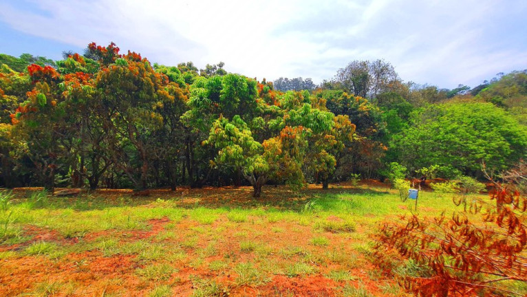 Imóvel à Venda, 246 m² em Loteamento Bosque Dos Palmares - Atibaia
