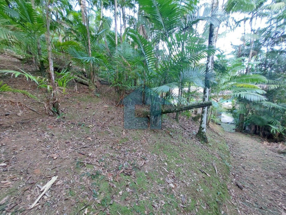 Imagem Fazenda à Venda, 48.051 m² em Bracuí - Angra Dos Reis Imagem Fazenda à Venda, 48.051 m² em Bracuí - Angra Dos Reis