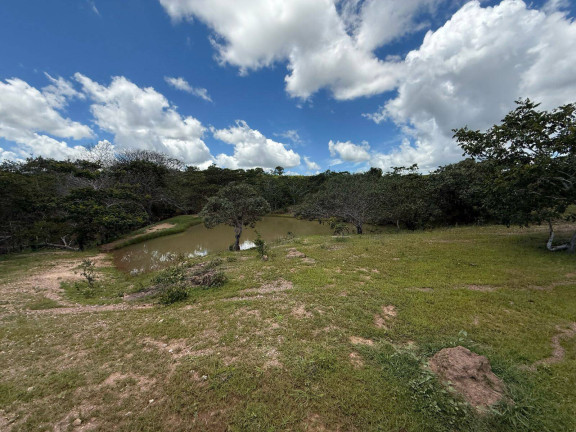Imagem Fazenda à Venda, em Bom Jardim De Goiás Imagem Fazenda à Venda, em Bom Jardim De Goiás