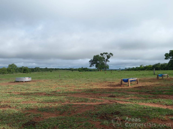 Imagem Chácara à Venda, 100 m² em Rural - Pouso Alegre Imagem Chácara à Venda, 100 m² em Rural - Pouso Alegre