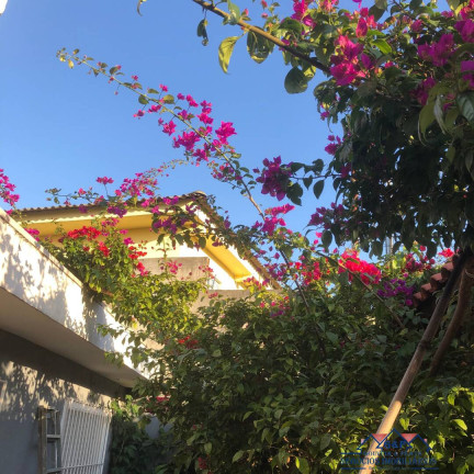 Imagem Casa com 3 Quartos à Venda,  em Padroeira - Osasco