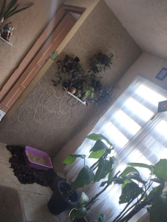 Imagem Apartamento com 2 Quartos à Venda,  em Centro - Tramandaí