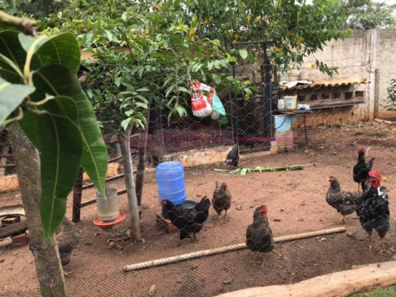 Imagem Chácara com 5 Quartos à Venda, 600 m² em Jardim Flamboyant - Boituva Imagem Chácara com 5 Quartos à Venda, 600 m² em Jardim Flamboyant - Boituva