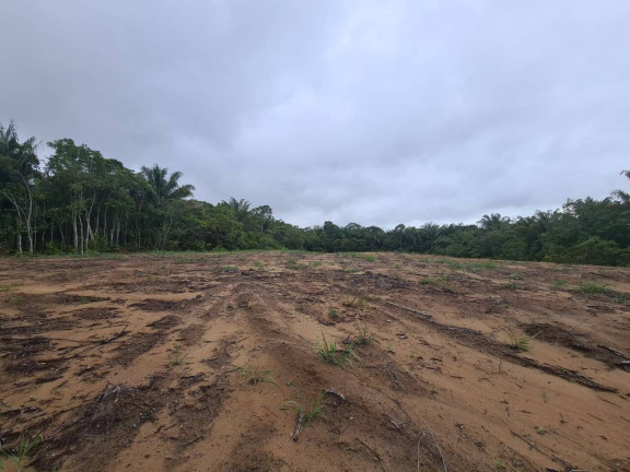 Imagem Terreno à Venda, 11 m² em Ponta Negra - Manaus Imagem Terreno à Venda, 11 m² em Ponta Negra - Manaus
