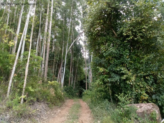 Imagem Terreno à Venda, 8 m² em Germânia - Nova Petrópolis