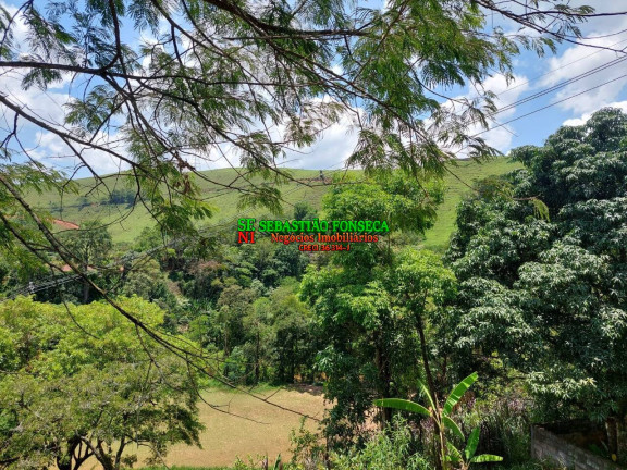 Imagem Chácara com 2 Quartos à Venda, 3.000 m² em Centro - Monteiro Lobato Imagem Chácara com 2 Quartos à Venda, 3.000 m² em Centro - Monteiro Lobato