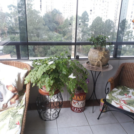 Imagem Imóvel com 3 Quartos à Venda, 130 m² em Vila Andrade - São Paulo