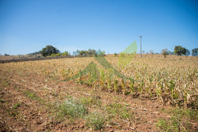 Imagem Terreno à Venda, 32.277 m² em Parque Rio Abaixo - Atibaia Imagem Terreno à Venda, 32.277 m² em Parque Rio Abaixo - Atibaia