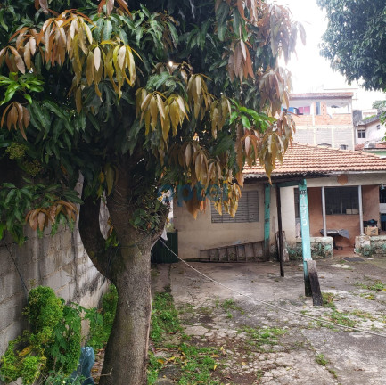 Imagem Terreno à Venda, 300 m² em Jardim Santo Alberto - Santo André Imagem Terreno à Venda, 300 m² em Jardim Santo Alberto - Santo André