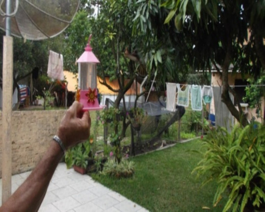 Imagem Casa com 2 Quartos à Venda, 178 m² em Centro - Arambaré