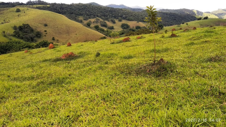 Imagem Chácara à Venda, 55.189 m² em Registro - Taubaté Imagem Chácara à Venda, 55.189 m² em Registro - Taubaté