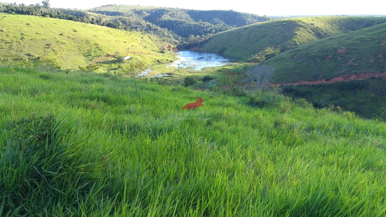 Imagem Fazenda à Venda, 968 m² em Centro - Palmópolis
