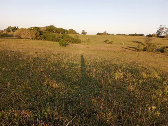 Imagem Chácara à Venda, 47.000 m² em Itapuã - Viamão Imagem Chácara à Venda, 47.000 m² em Itapuã - Viamão