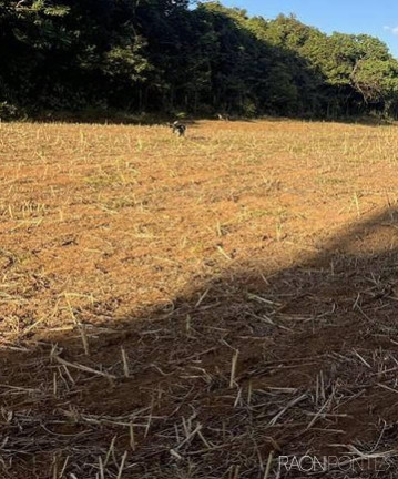 Imagem Fazenda à Venda, 710.000 m² em Perdizes - Perdizes Imagem Fazenda à Venda, 710.000 m² em Perdizes - Perdizes