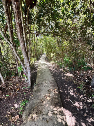 Imagem Terreno à Venda, 800 m² em Praia Do Forte - Mata De São João Imagem Terreno à Venda, 800 m² em Praia Do Forte - Mata De São João