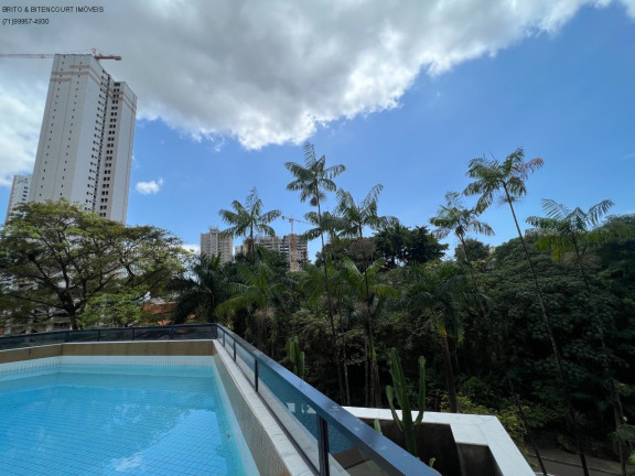 Imagem Imóvel com 4 Quartos à Venda, 336 m² em Horto Florestal - Salvador Imagem Imóvel com 4 Quartos à Venda, 336 m² em Horto Florestal - Salvador