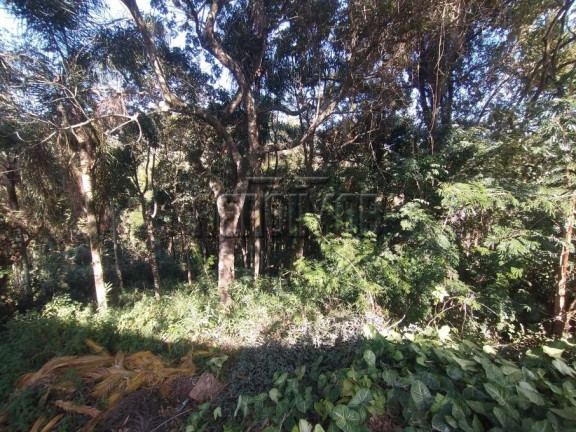 Imagem Terreno à Venda, 1.124 m² em Barreiro - Mairiporã Imagem Terreno à Venda, 1.124 m² em Barreiro - Mairiporã
