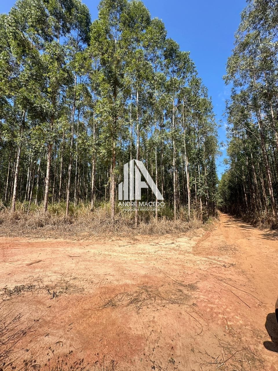 Imagem Imóvel à Venda,  em Mato Seco - Mogi Guaçu