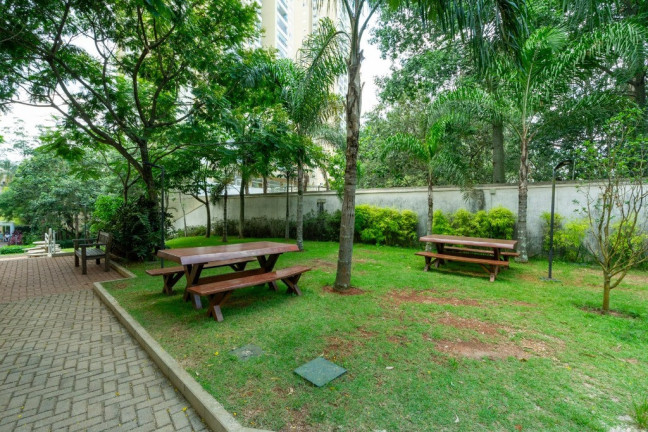 Imagem Apartamento com 2 Quartos à Venda, 67 m² em Vila Andrade - São Paulo Imagem Apartamento com 2 Quartos à Venda, 67 m² em Vila Andrade - São Paulo