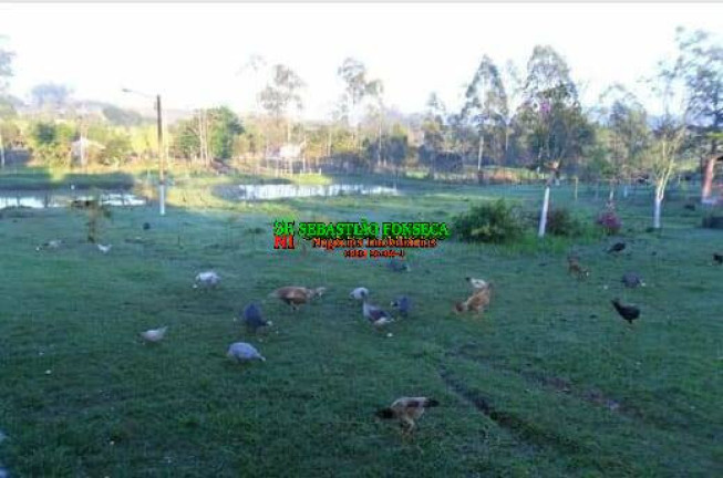 Imagem Chácara à Venda, 13.000 m² em Centro - Caçapava