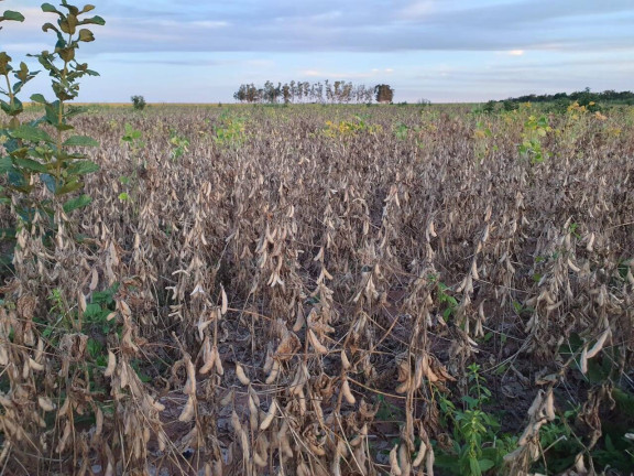 Imagem Fazenda à Venda, 407 m² em Go - Mambaí Imagem Fazenda à Venda, 407 m² em Go - Mambaí