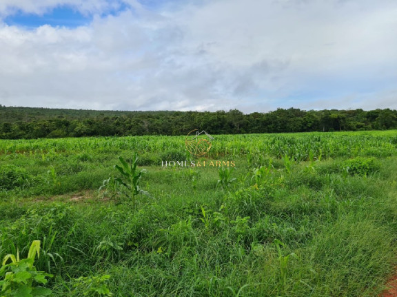 Imagem Imóvel com 7 Quartos à Venda, 1.822 m² em Zona Rural - Primavera Do Leste Imagem Imóvel com 7 Quartos à Venda, 1.822 m² em Zona Rural - Primavera Do Leste