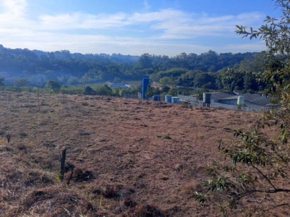 Imagem Terreno à Venda, 8.000 m² em Parque Dom Henrique - Cotia Imagem Terreno à Venda, 8.000 m² em Parque Dom Henrique - Cotia