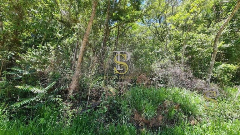 Imagem Terreno à Venda, 1.000 m² em Mato Dentro - Mairiporã Imagem Terreno à Venda, 1.000 m² em Mato Dentro - Mairiporã