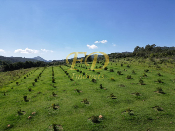 Imagem Imóvel Comercial à Venda, 220 m² em Mato Dentro - Mairiporã Imagem Imóvel Comercial à Venda, 220 m² em Mato Dentro - Mairiporã
