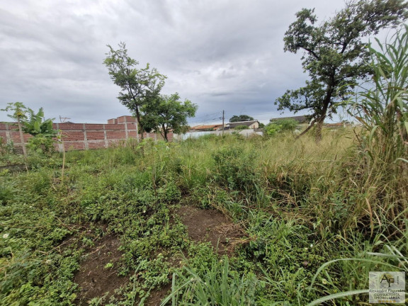 Imagem Terreno à Venda, 497 m² em Setor Dos Bandeirantes - Aparecida De Goiânia Imagem Terreno à Venda, 497 m² em Setor Dos Bandeirantes - Aparecida De Goiânia