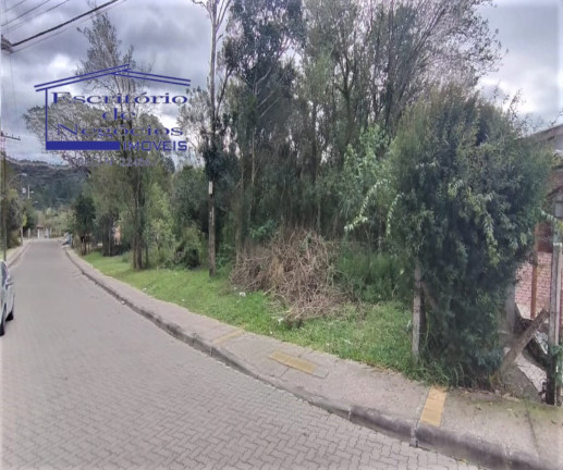 Imagem Terreno à Venda, 7.657 m² em Lomba Do Pinheiro - Porto Alegre Imagem Terreno à Venda, 7.657 m² em Lomba Do Pinheiro - Porto Alegre