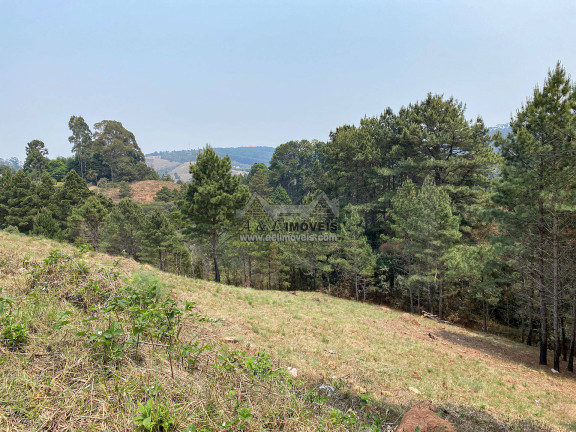 Terreno à Venda, 1 m² em Vale Encantado - Campos Do Jordão