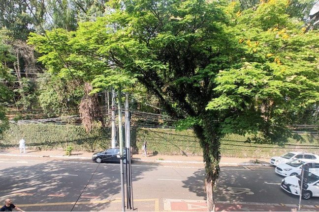 Imagem Imóvel Comercial à Venda, 120 m² em Chácara Santo Antônio (zona Sul) - São Paulo Imagem Imóvel Comercial à Venda, 120 m² em Chácara Santo Antônio (zona Sul) - São Paulo
