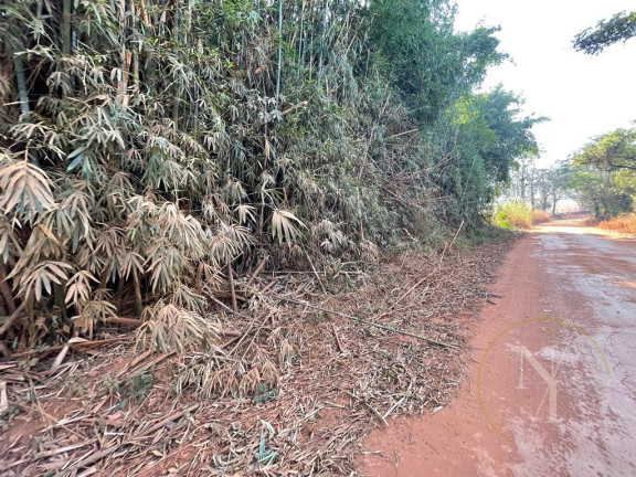 Imagem Imóvel com 1 Quarto à Venda, 500 m² em Centro - Santo Antônio De Posse Imagem Imóvel com 1 Quarto à Venda, 500 m² em Centro - Santo Antônio De Posse